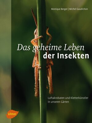 cover image of Das geheime Leben der Insekten